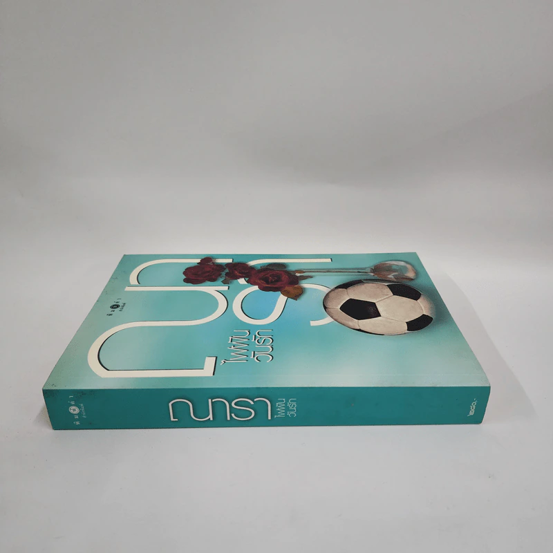 ไฟฝันวันรัก - ณารา รูปที่ 2