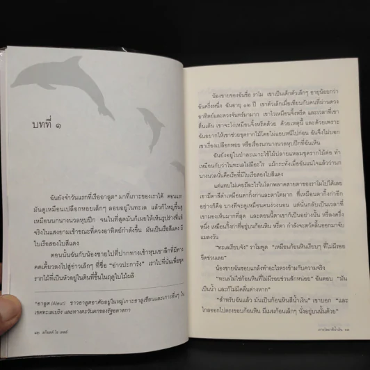 เกาะโลมาสีน้ำเงิน Island of the Blue Dolphins - Scott O'Dell รูปที่ 6