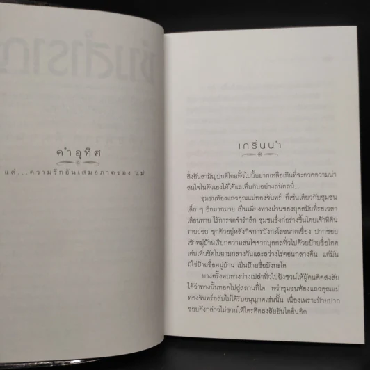 ช่างสำราญ - เดือนวาด พิมวนา รูปที่ 6
