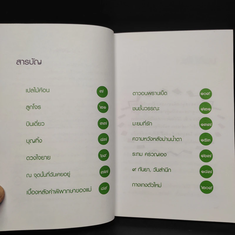 เปลไม้ค้อน - ฉลอง เจยาคม รูปที่ 6