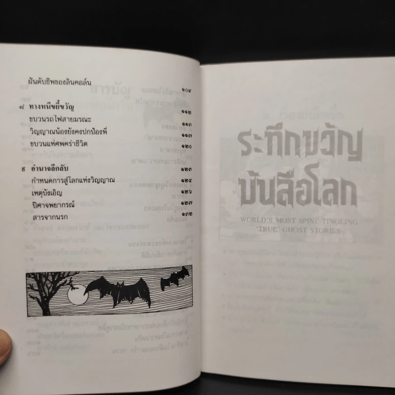 ระทึกขวัญบันลือโลก - ชีลา แอนน์ แบร์รี รูปที่ 7