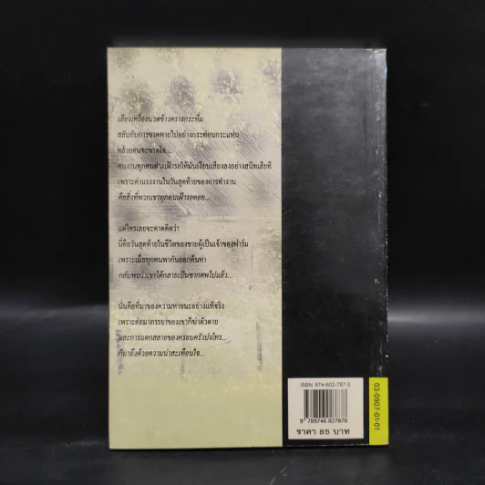 บ้านอาถรรพณ์ - จอร์จ ซิเมอนง รูปที่ 2