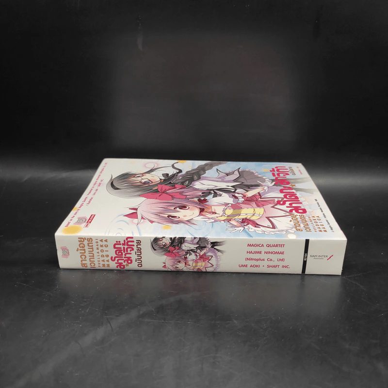 สาวน้อยเวทมนตร์ มาโดกะ มาจิก้า ฉบับนิยาย รูปที่ 3