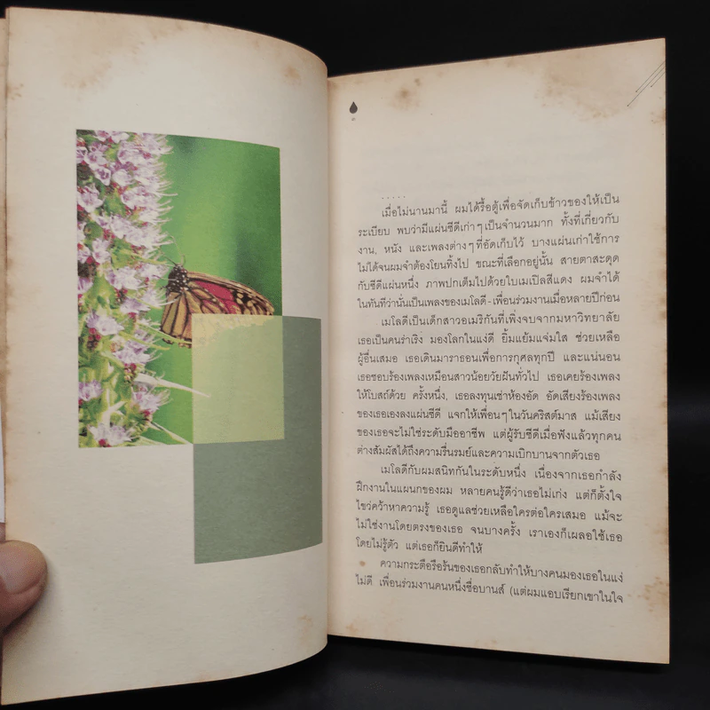 เราทุกคนมีวันฝนตก - ปะการัง รูปที่ 7