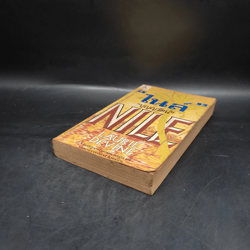 ไนล์ Nile - Laurie Devine, บุญญรัตน์ รูปที่ 3