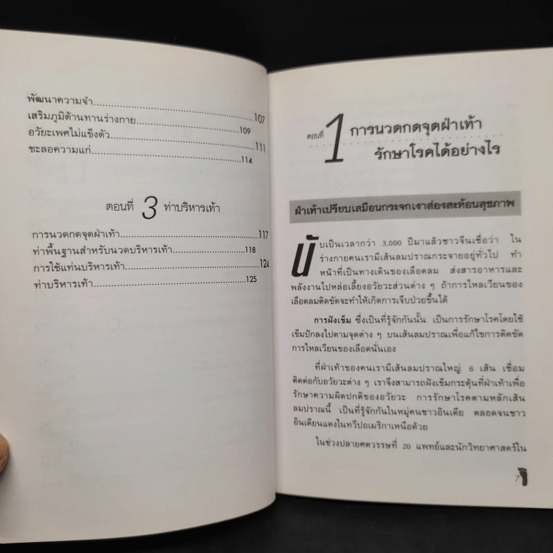 นวดกดจุดฝ่าเท้า Reflexology - ชุมพล พูนยิ่ง รูปที่ 7