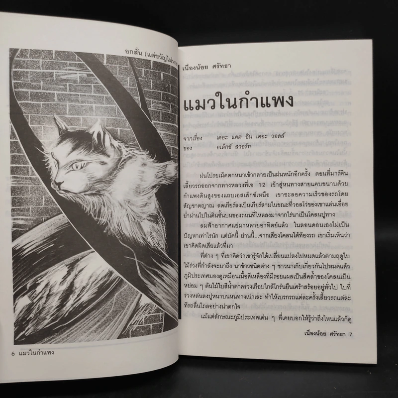 อกสั่นแต่ขวัญไม่หาย - เนื่องน้อย ศรัทธา รูปที่ 7