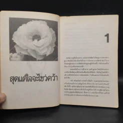 สุดแต่ใจจะไขว่คว้า - โบตั๋น รูปที่ 7