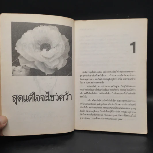 สุดแต่ใจจะไขว่คว้า - โบตั๋น รูปที่ 7