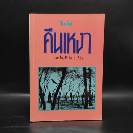 คืนเหงา - โบตั๋น รูปที่ 1