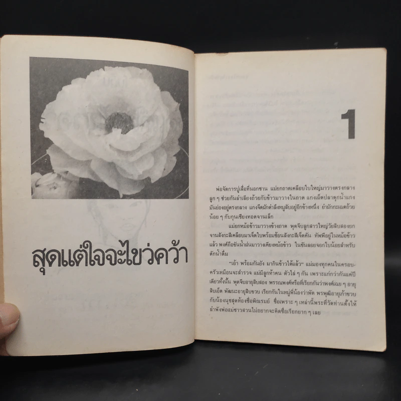 สุดแต่ใจจะไขว่คว้า - โบตั๋น รูปที่ 7