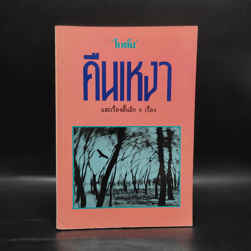 คืนเหงา - โบตั๋น รูปที่ 1