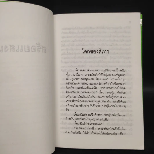 สร้อยแสงแดง - สุวรรณี สุคนธา รูปที่ 6