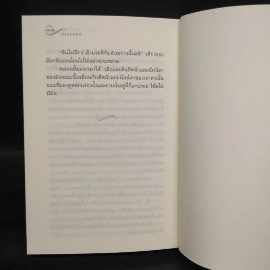 ช่อประยงคุ์ - อุษณา เพลิงธรรม รูปที่ 8