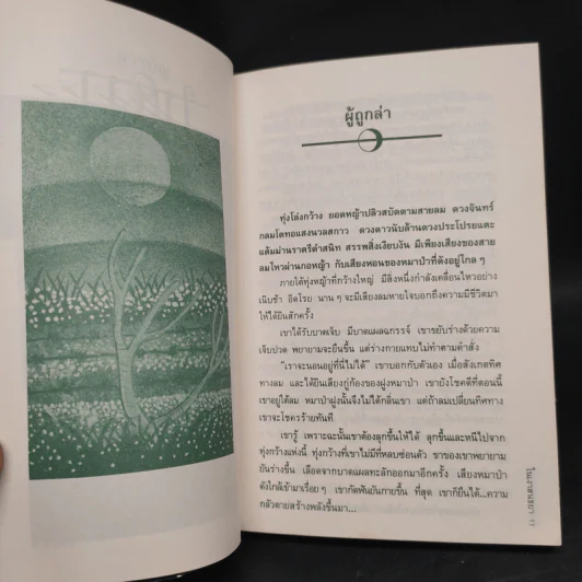 ในเงาสนธยา - ชลนิล รูปที่ 7