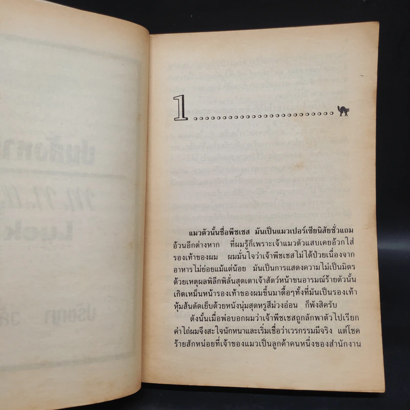 ปมสังหาร Mcnally’s Luck - Lawrence Sanders รูปที่ 7