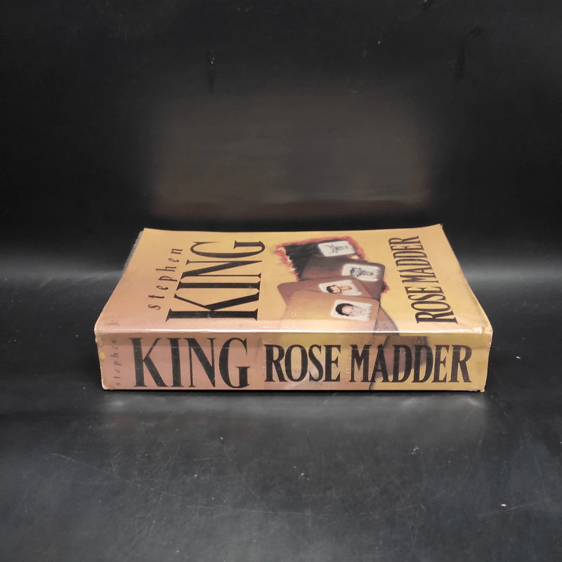 Rose Madder - Stephen King รูปที่ 3