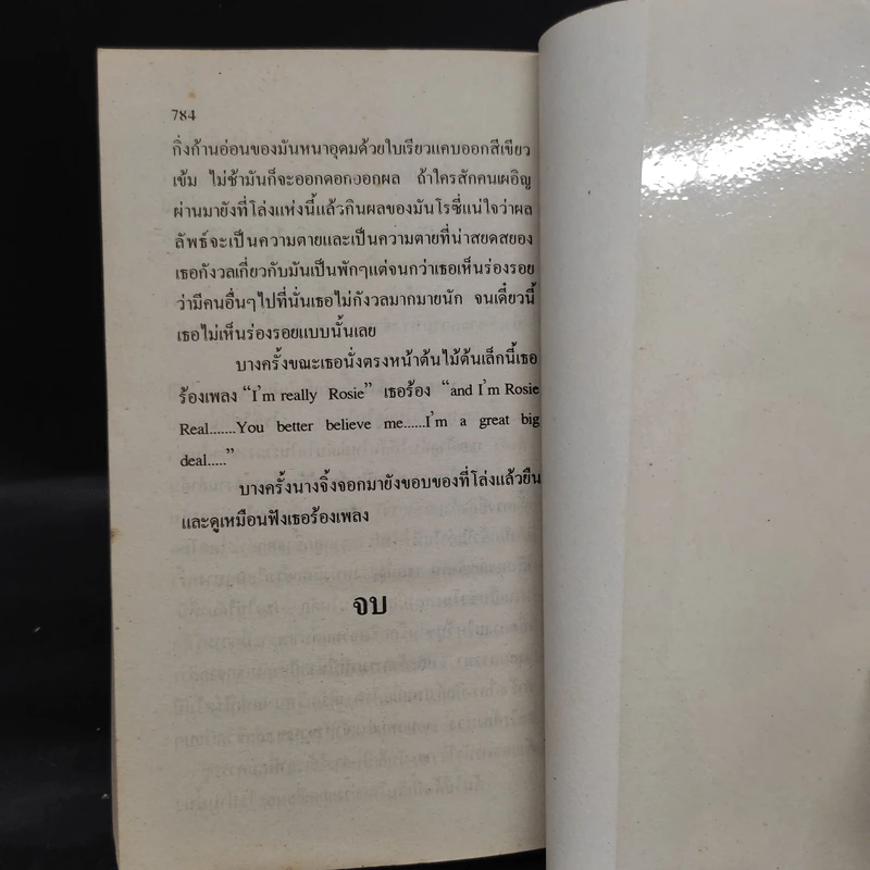 Rose Madder - Stephen King รูปที่ 7