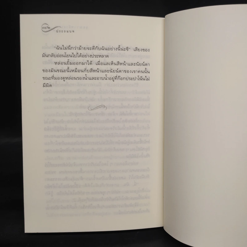 ช่อประยงคุ์ - อุษณา เพลิงธรรม รูปที่ 8
