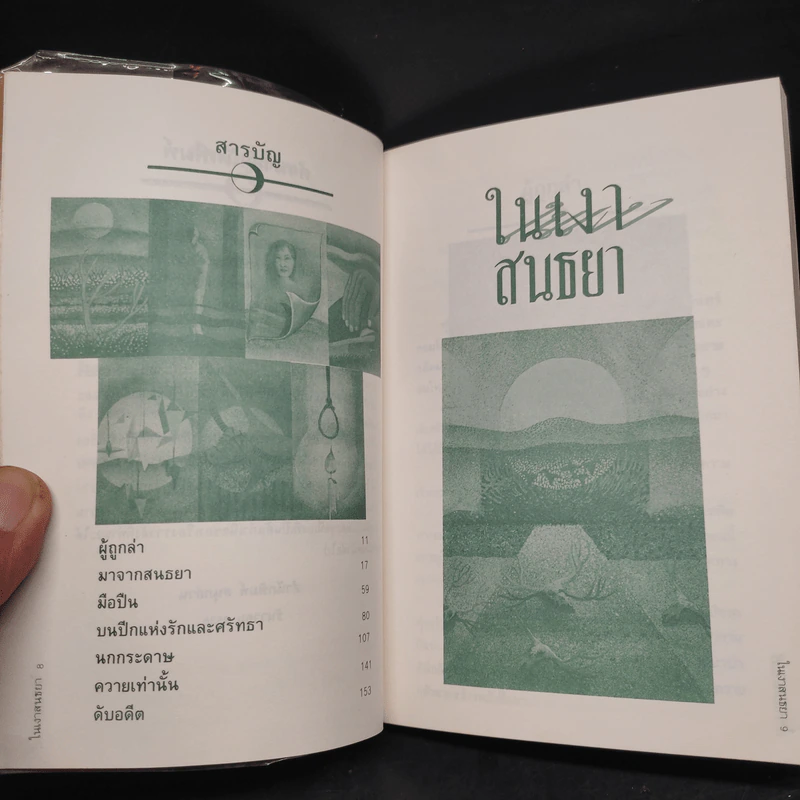 ในเงาสนธยา - ชลนิล รูปที่ 6
