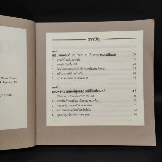 เสริมพลังลบ NeEnergy - หลิน ยู่ เซิ่ง รูปที่ 5