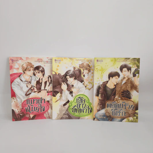 นิยายวาย แมวดำขโมยใจ + เสือดาวลักพาใจ + พยัคฆ์ร้ายชิงรัก รูปที่ 1