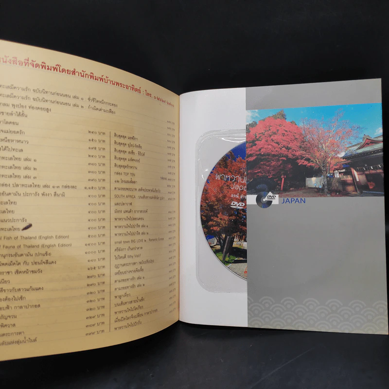 Japan 2 Season - ธรณ์ ธำรงนาวาสวัสดิ์ รูปที่ 7