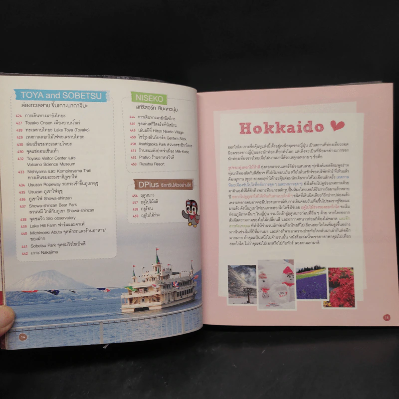 ตะลุยฮอกไกโด Hokkaido รูปที่ 11