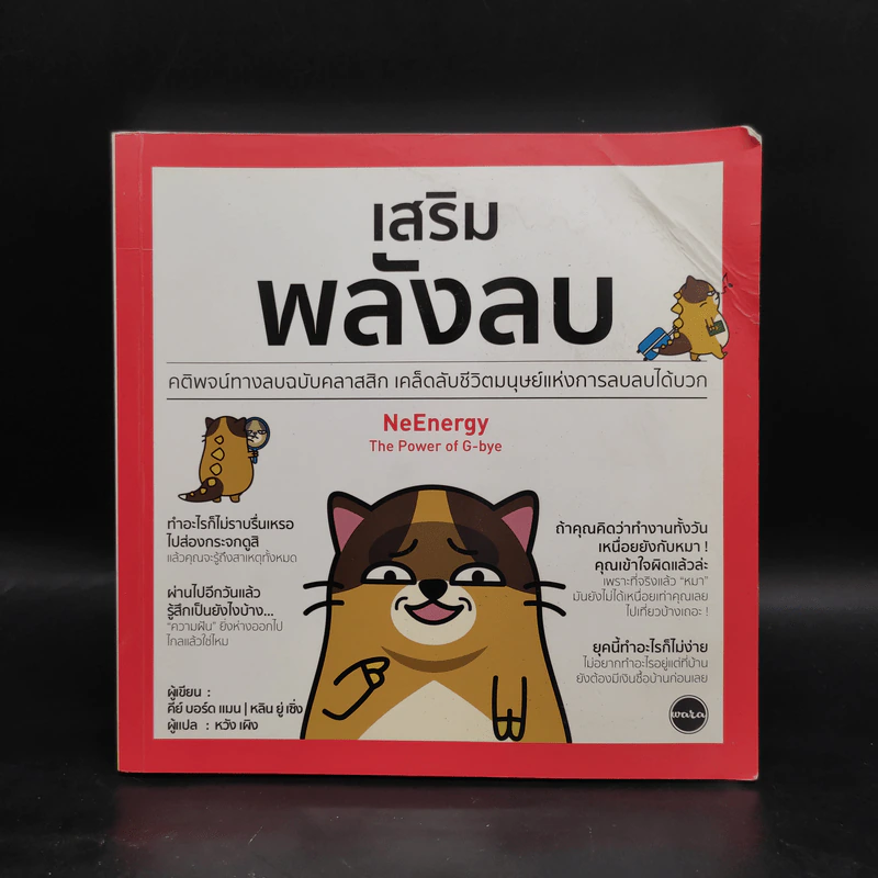 เสริมพลังลบ NeEnergy - หลิน ยู่ เซิ่ง รูปที่ 1
