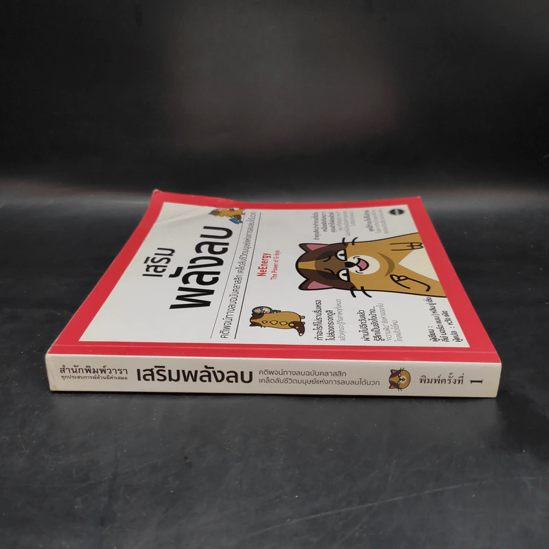 เสริมพลังลบ NeEnergy - หลิน ยู่ เซิ่ง รูปที่ 9