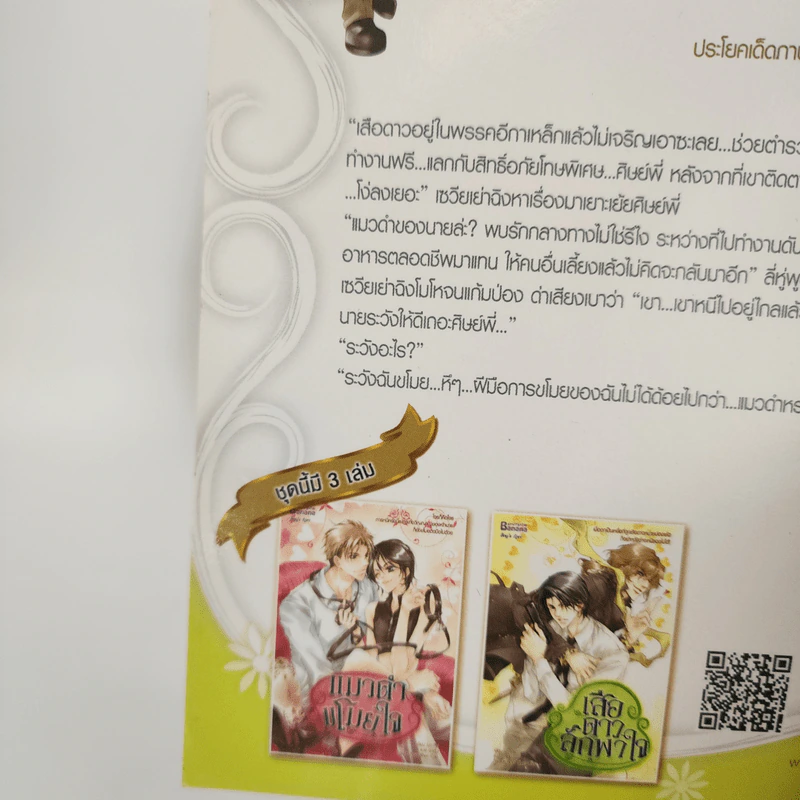 นิยายวาย แมวดำขโมยใจ + เสือดาวลักพาใจ + พยัคฆ์ร้ายชิงรัก รูปที่ 4