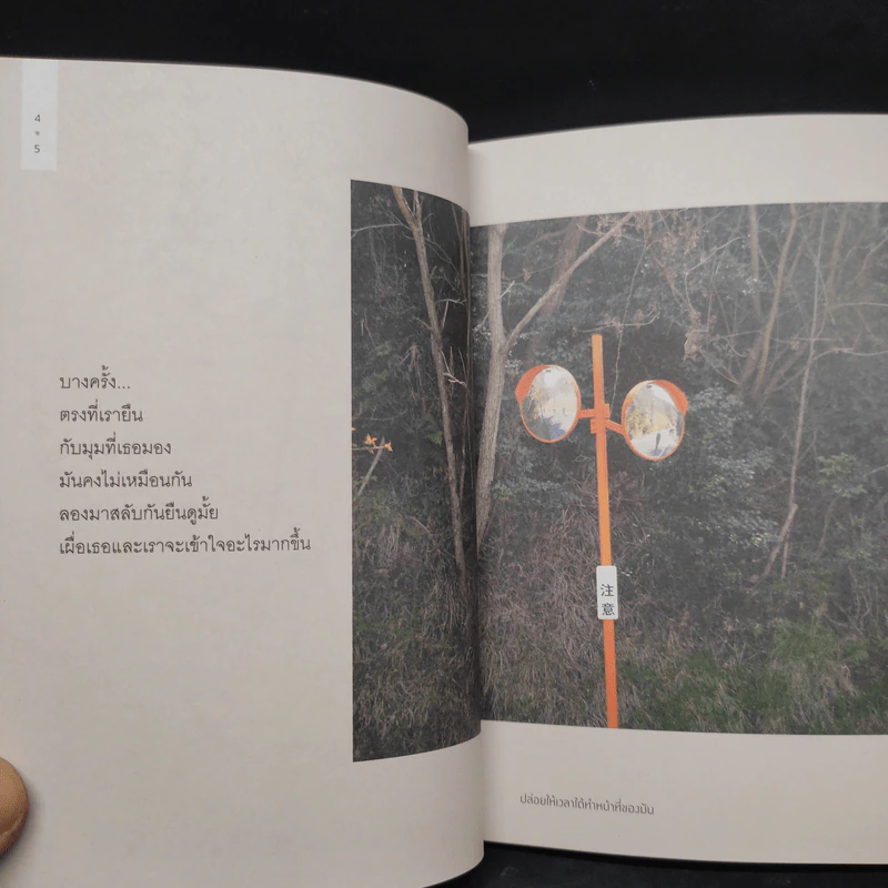 ปล่อยให้เวลาได้ทำหน้าที่ของมัน - ไอ่เป็ด รูปที่ 7