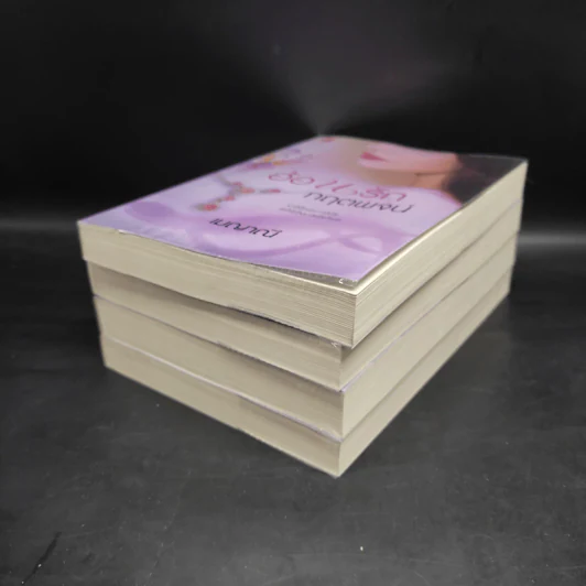ชุดร้อยใจให้รัก 4 เล่ม ร้อยรักกฤตนัย, ดวงใจกฤตภาส, สานรักกฤตกร, อ้อนรักกฤตพจน์ - เมญาณี รูปที่ 3