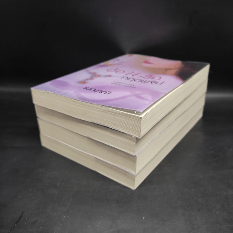 ชุดร้อยใจให้รัก 4 เล่ม ร้อยรักกฤตนัย, ดวงใจกฤตภาส, สานรักกฤตกร, อ้อนรักกฤตพจน์ - เมญาณี รูปที่ 3
