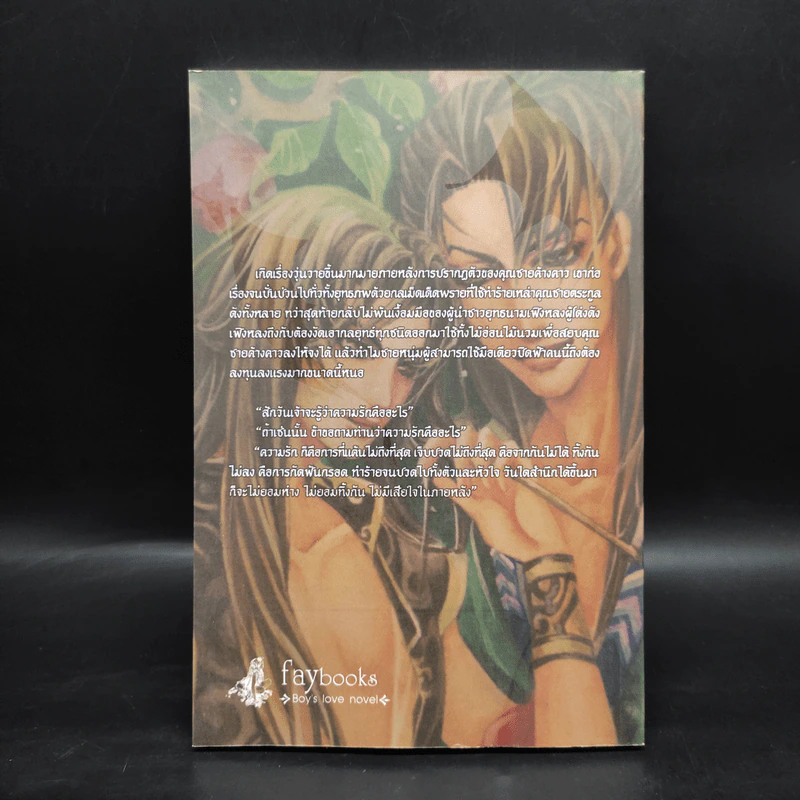 นิยายวาย ค้างคาวเก้าฟ้า เล่ม 2 - เฟิงน่ง รูปที่ 2