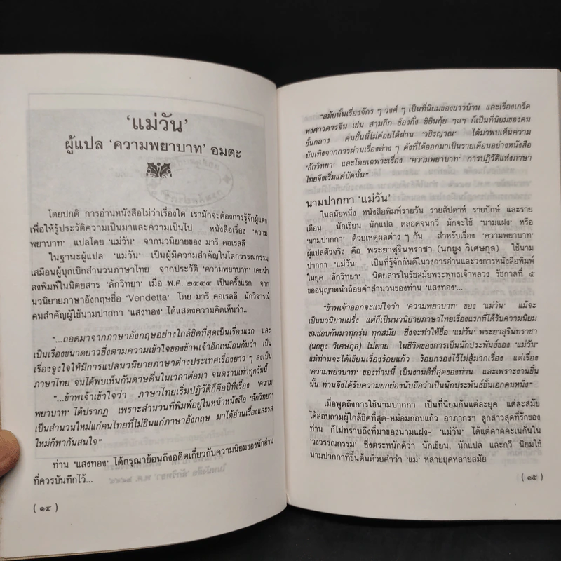 ความพยาบาท - แม่วัน รูปที่ 6