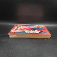 เจ้าสาวซาตาน เล่ม 3,13,14 รูปที่ 4