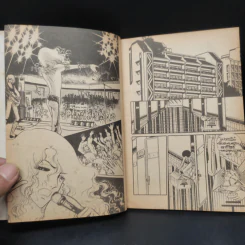เจ้าสาวซาตาน เล่ม 3,13,14 รูปที่ 8