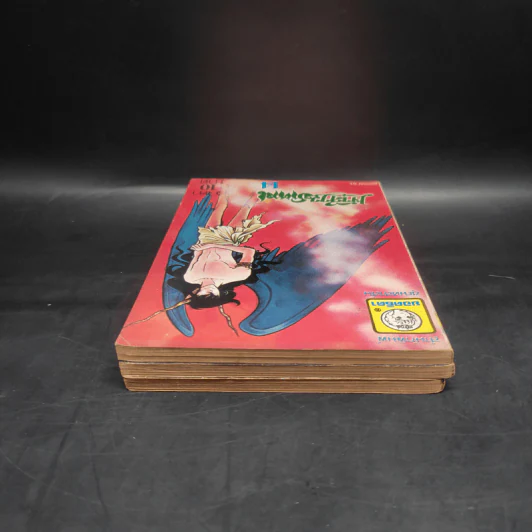 เจ้าสาวซาตาน เล่ม 3,13,14 รูปที่ 5