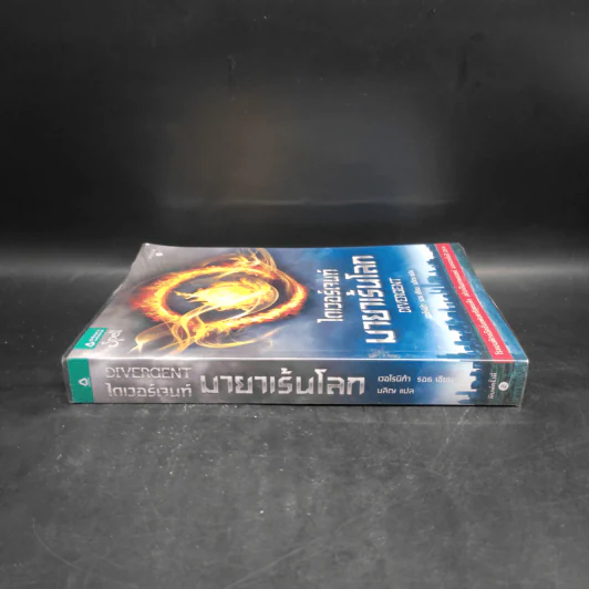 ไดเวอร์เจนท์ มายาเร้นโลก : Divergent - Veronica Roth (เวอโรนิก้า รอธ) รูปที่ 3
