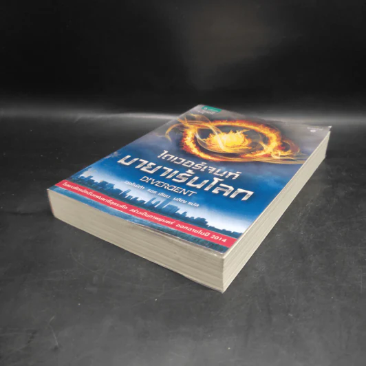 ไดเวอร์เจนท์ มายาเร้นโลก : Divergent - Veronica Roth (เวอโรนิก้า รอธ) รูปที่ 4
