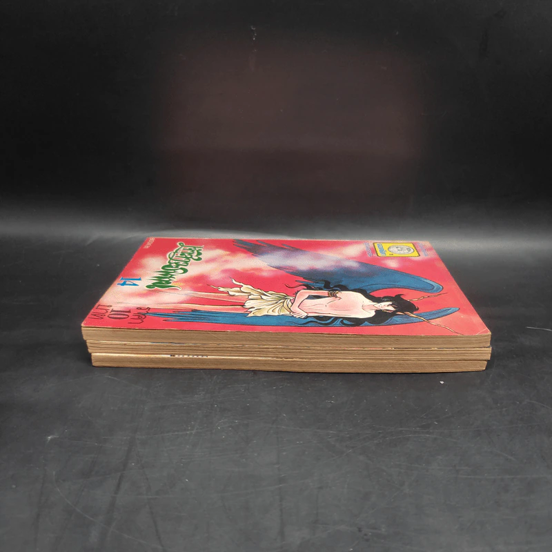 เจ้าสาวซาตาน เล่ม 3,13,14 รูปที่ 4