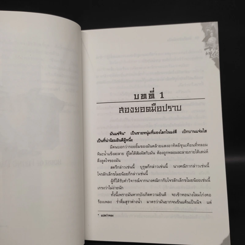 จอมใจบ้านมีดบิน House of Flying Daggers - หลี่เฝิง, น.นพรัตน์ รูปที่ 6