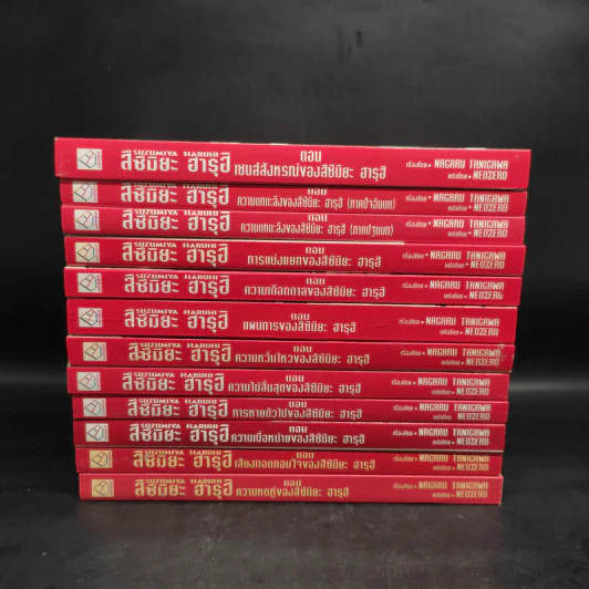 นิยาย สึซึมิยะ ฮารุฮิ 12 เล่ม รูปที่ 2