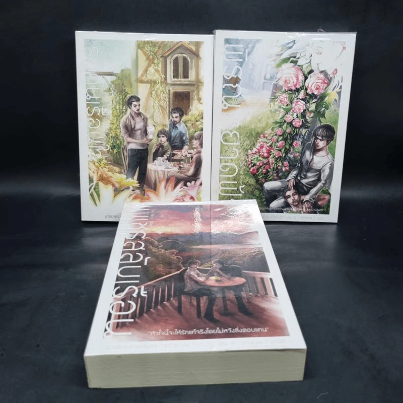 นิยายวาย Boxset นวรัฐะ ณ ที่แห่งรัก ชุดที่ 2 เพชรสลับเรือน+พิรุณหยาดฟ้า+รักคืนเรือนใจ รูปที่ 4