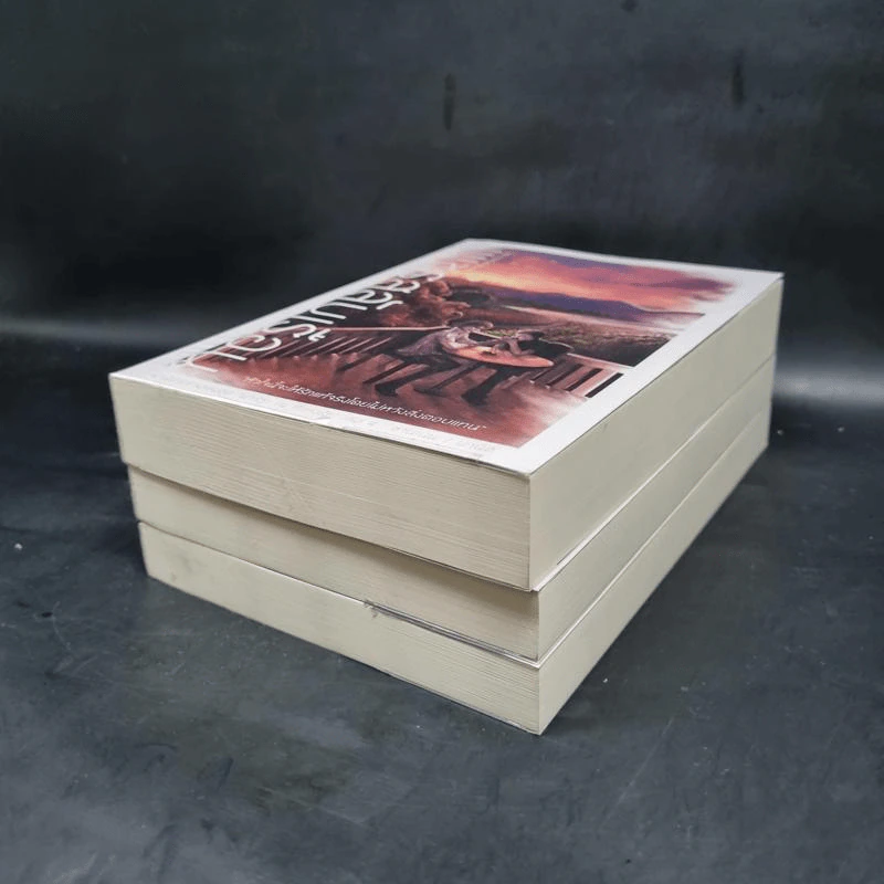 นิยายวาย Boxset นวรัฐะ ณ ที่แห่งรัก ชุดที่ 2 เพชรสลับเรือน+พิรุณหยาดฟ้า+รักคืนเรือนใจ รูปที่ 6