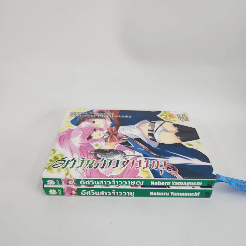 นิยาย อัศวินสาวจ้าววายุ เล่ม 1-2 รูปที่ 2