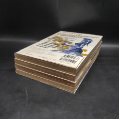 เซนต์เซย่า Saint Seiya Episode G เล่ม 1-4 รูปที่ 3