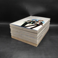 การ์ดไฟท์!! แวนการ์ด เล่ม 1-6 รูปที่ 3