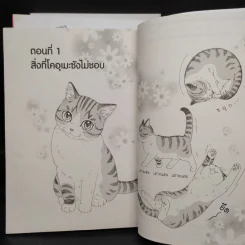 บันทึกเหมียวๆ ของโคอุเมะซัง เล่ม 1-3 รูปที่ 4